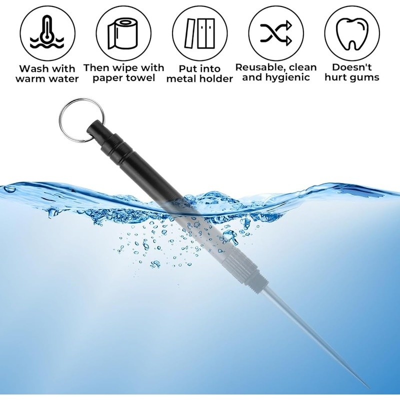 Stainless Steel Reusable Toothpicks Travel Holder Durable Dental Picks Set New