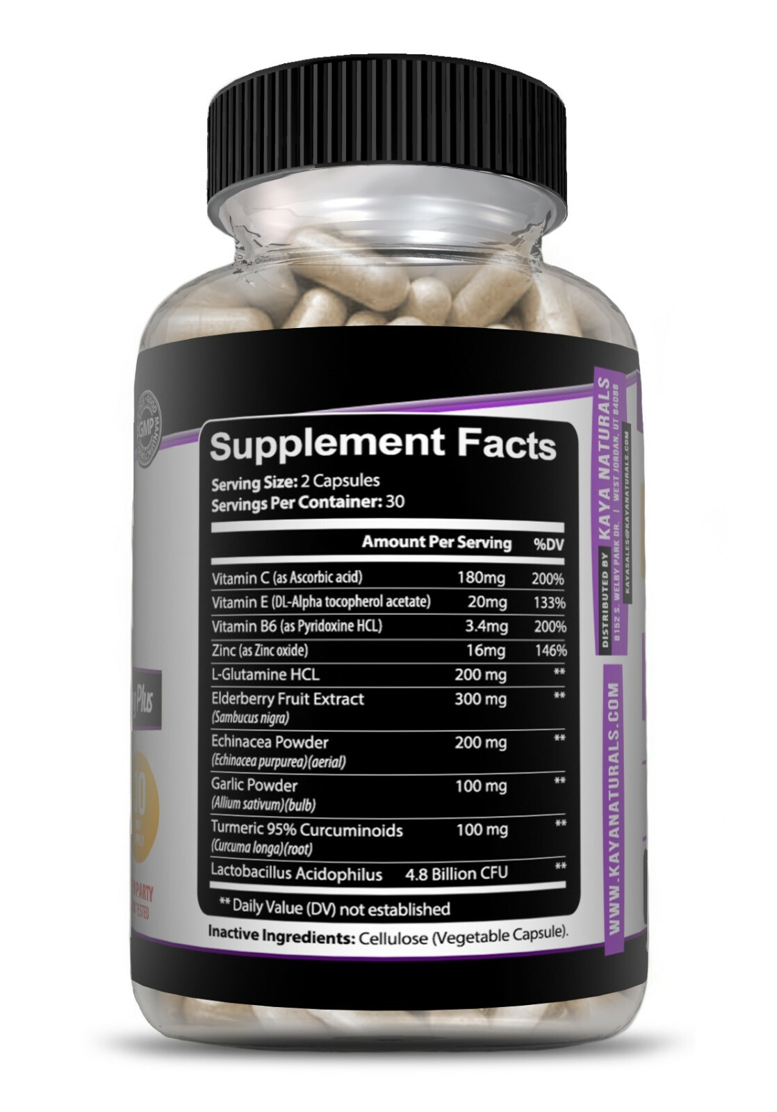 Immune System Booster, Elderberry, Zinc, Probiotics, Echinacea, Garlic, Turmeric