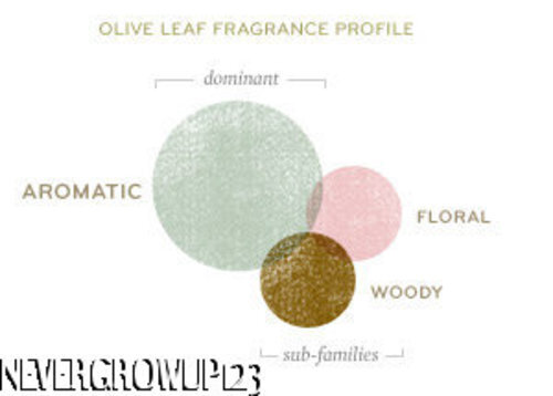 THYMES OLIVE LEAF COLOGNE SPRAY~1.75 OZ~NEW IN BOX