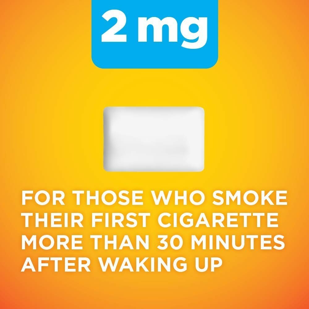 Amazon Basic Care Nicotine Gum 2mg Fruit Flavor 160 Count Smoking Cessation
