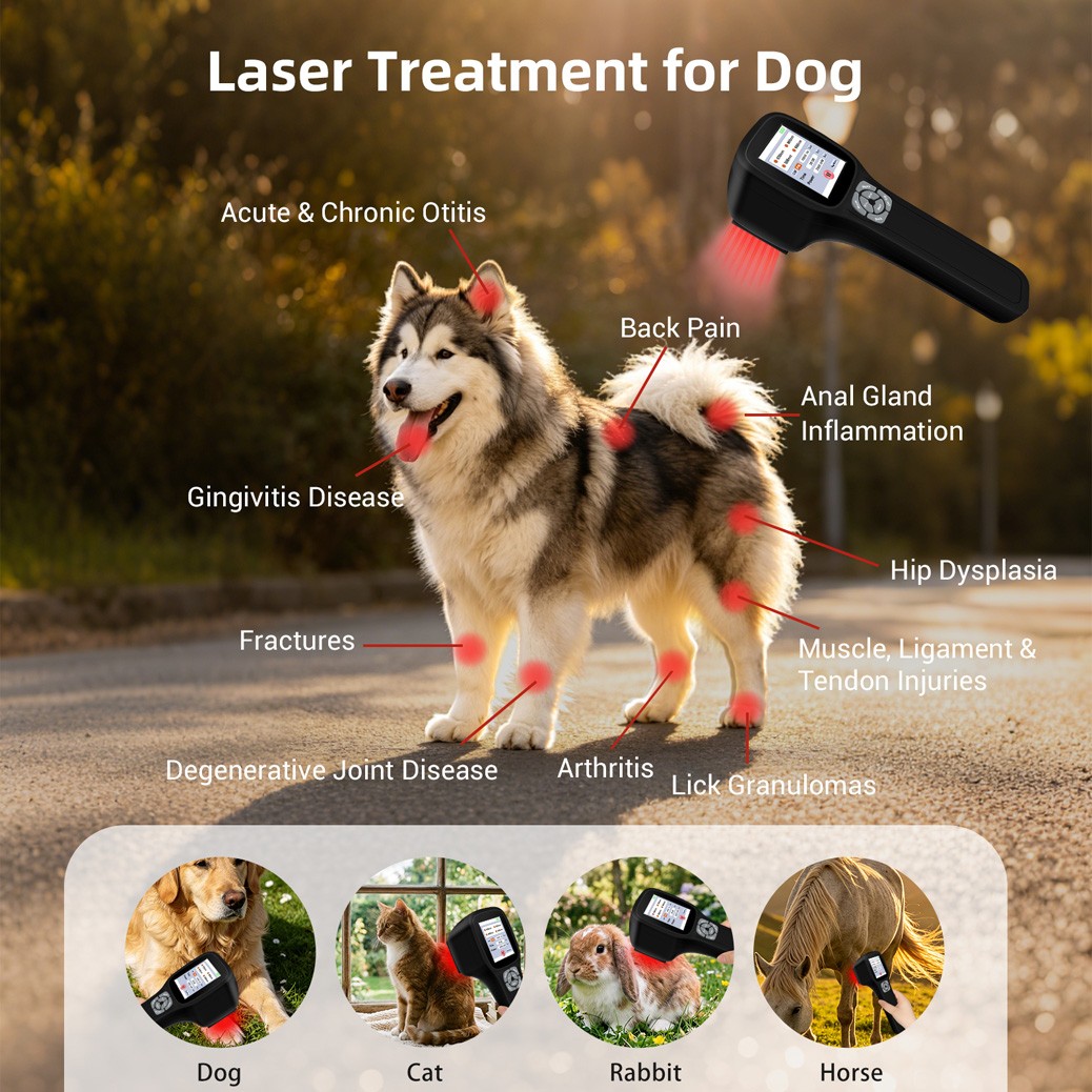 Portable Cold Laser Therapy for Pain Relief Sports Injury Muscle Healing 2500mW