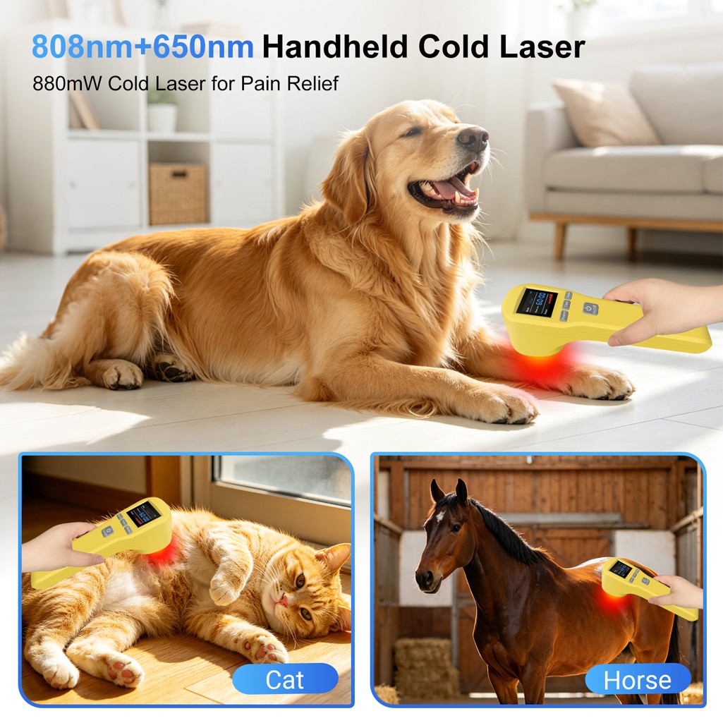 880mW Class 3b Cold Laser for Pain Therapy Low Level Laser LLLT Device 650+808nm
