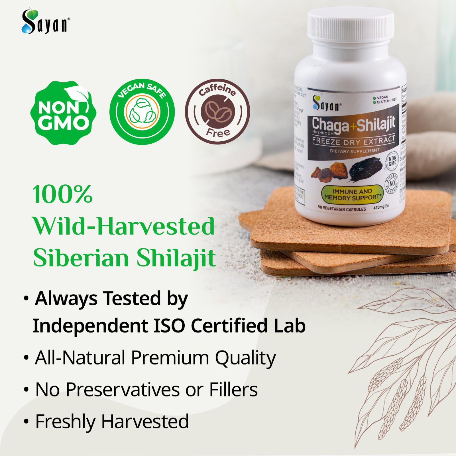 Chaga Mushroom & Shilajit Supplement 90 Caps Siberian Natural Immune Support
