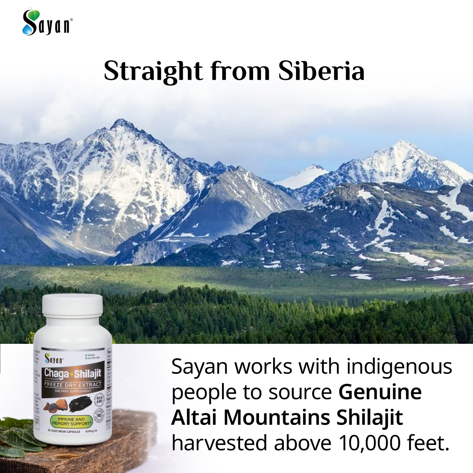 Chaga Mushroom & Shilajit Supplement 90 Caps Siberian Natural Immune Support