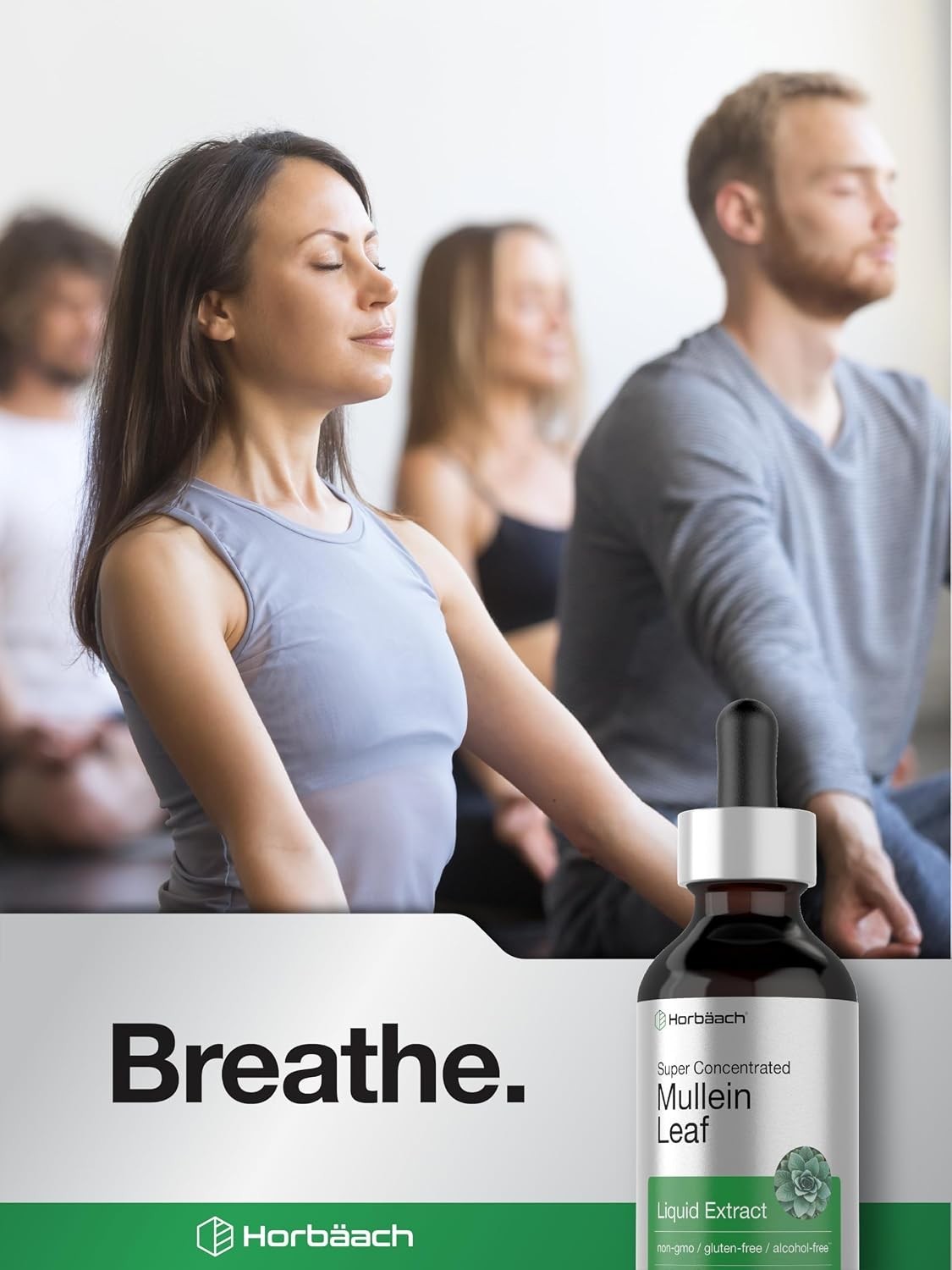 Mullein Leaf Extract Drops Alcohol Free 2 fl oz