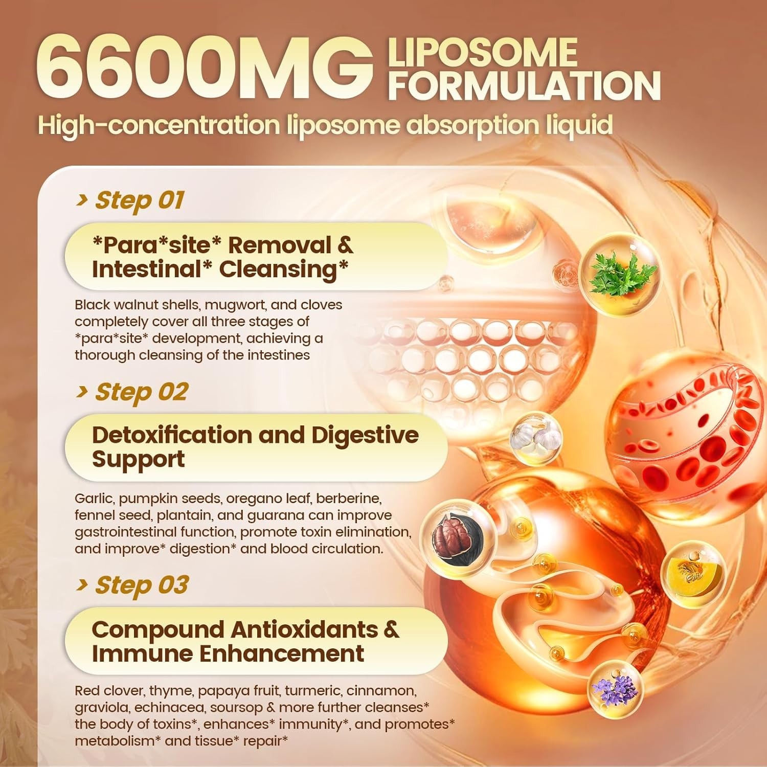 Digestive Support Softgels – 240 Easy-to-Swallow Capsules, 80-Day Detox
