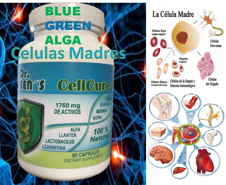 Celulas Madres Biomatrix Madre Cell Plus AFA Adult Health Stem Cell BioX bio cel