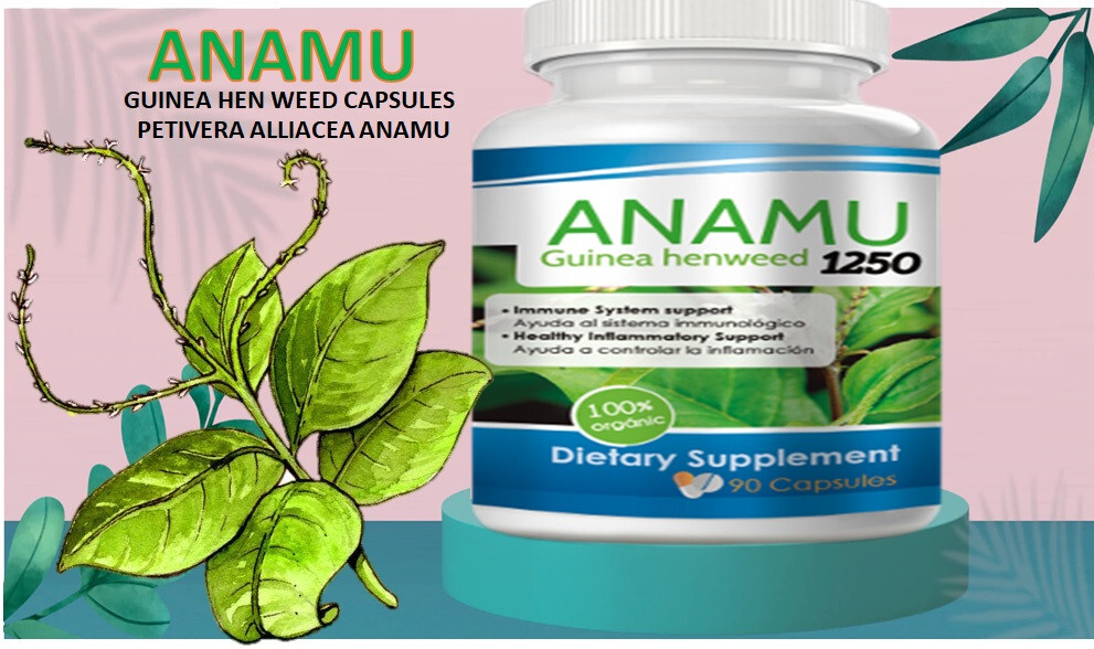 180Caps ANAMU 1250mg Circulatory System Low Sugar support 100% 180 cap