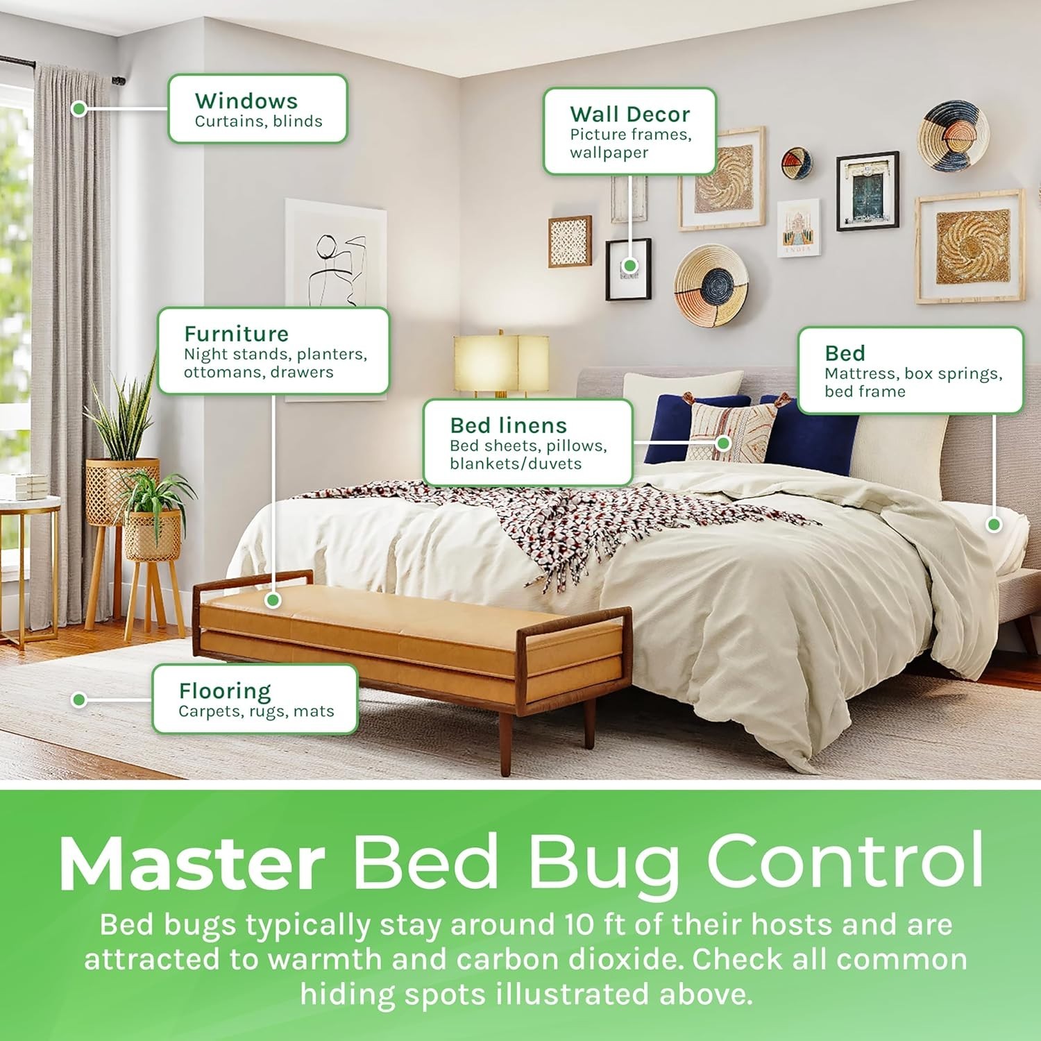 Non Toxic Insect Exterminator Combo