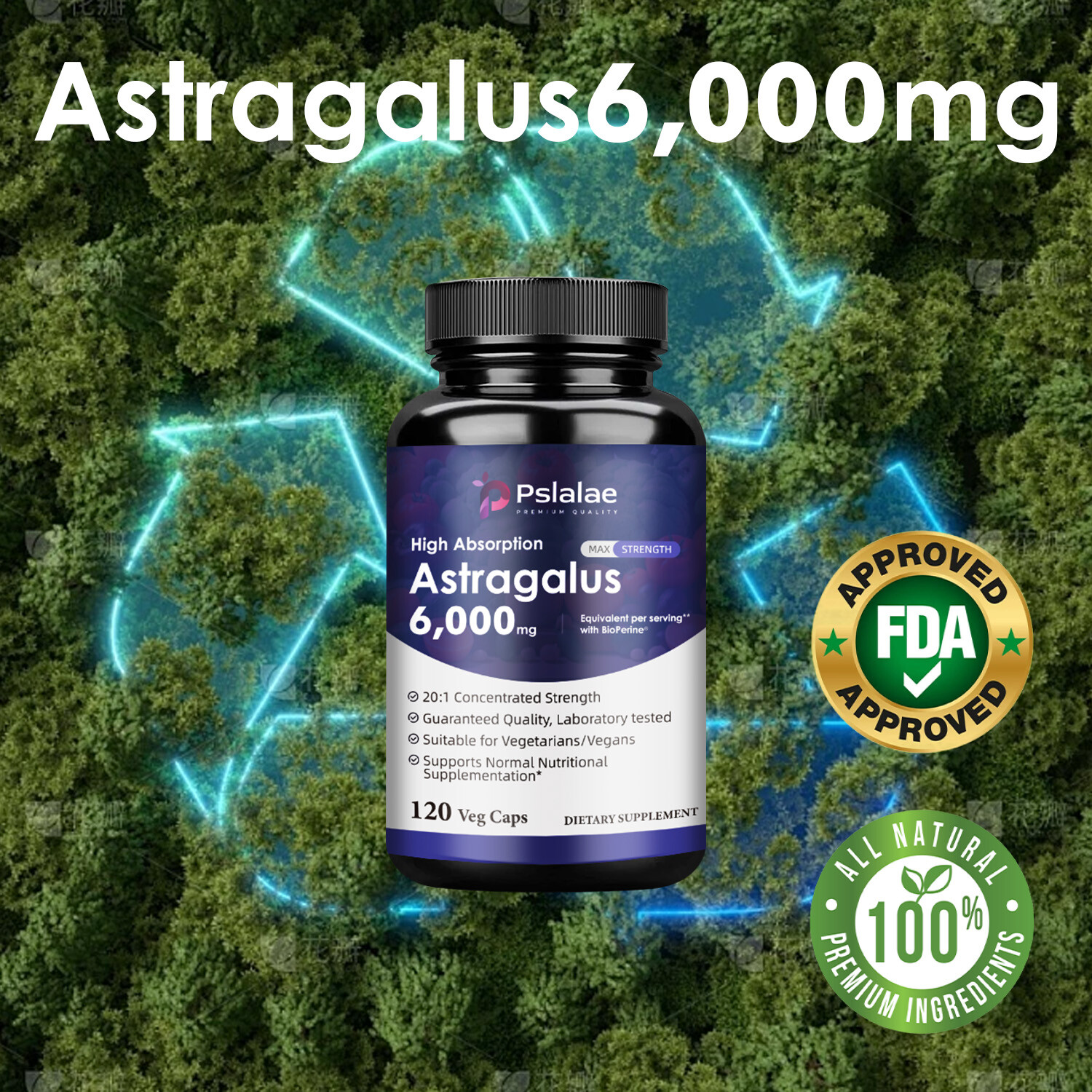 Astragalus Capsules 6000mg – Bioperine, Enhance Energy & Endurance Immune System