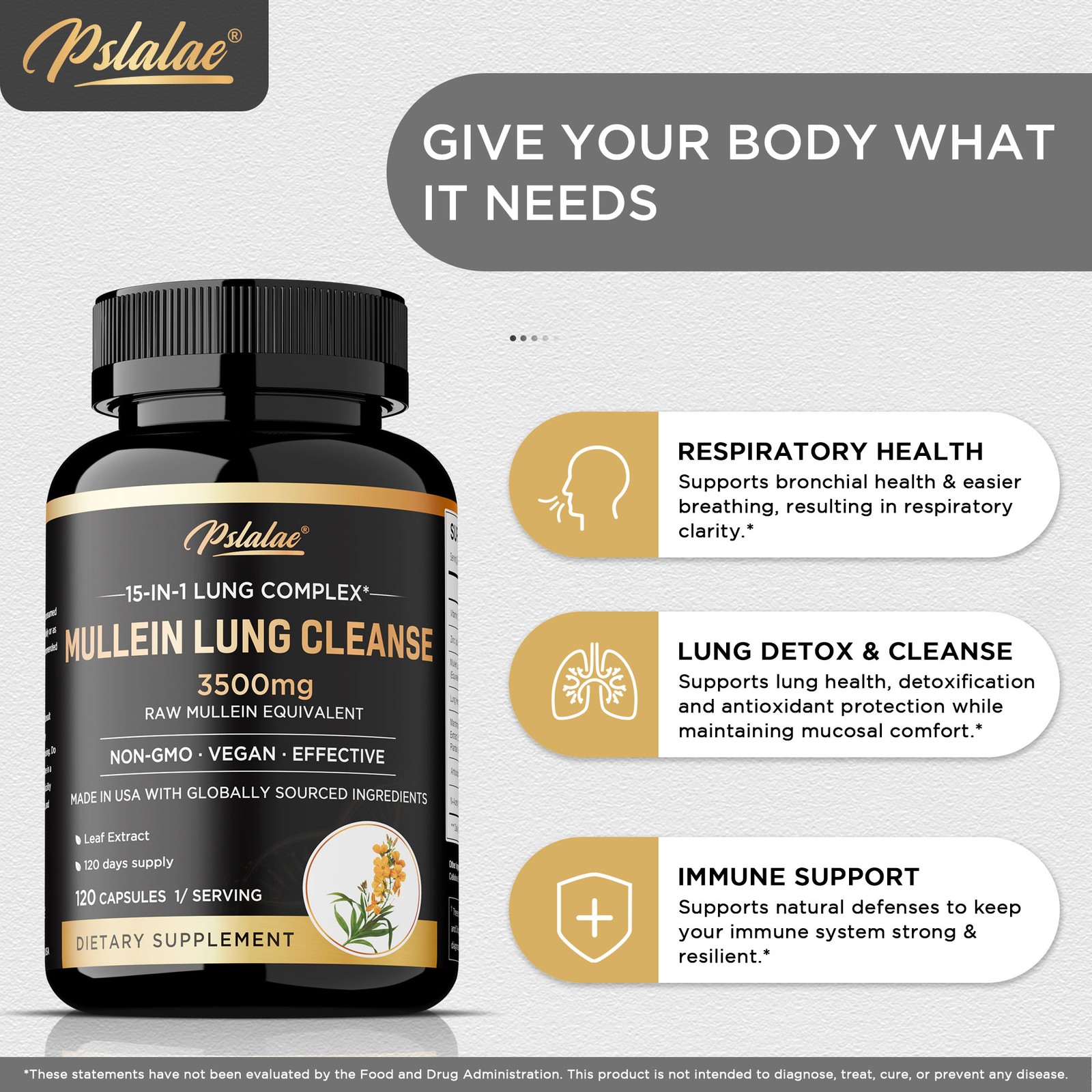 Mullein Lung Cleanse – Respiratory Health, Detox, Olive Leaf, Oregano Leaf
