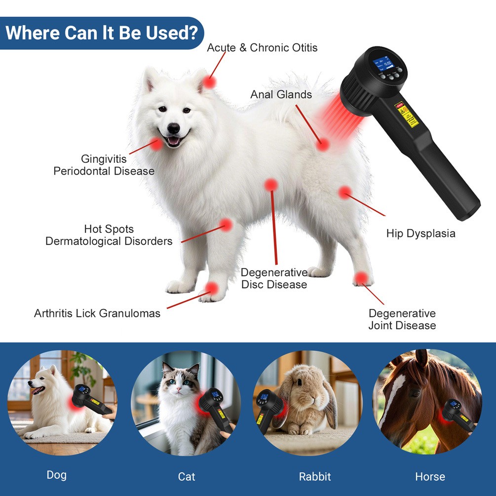25 Diodes Cold Laser Therapy Device for Chronic Acute Body Pain Rehabilitation