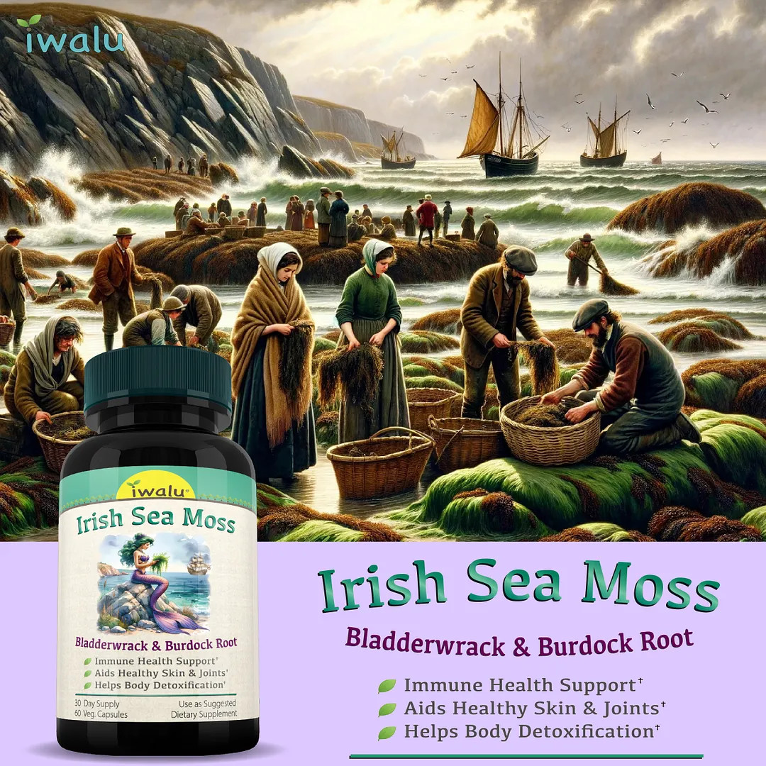 Sea Moss After Workout | Best Supplement Capsule Pill Men Women FREE SHIP