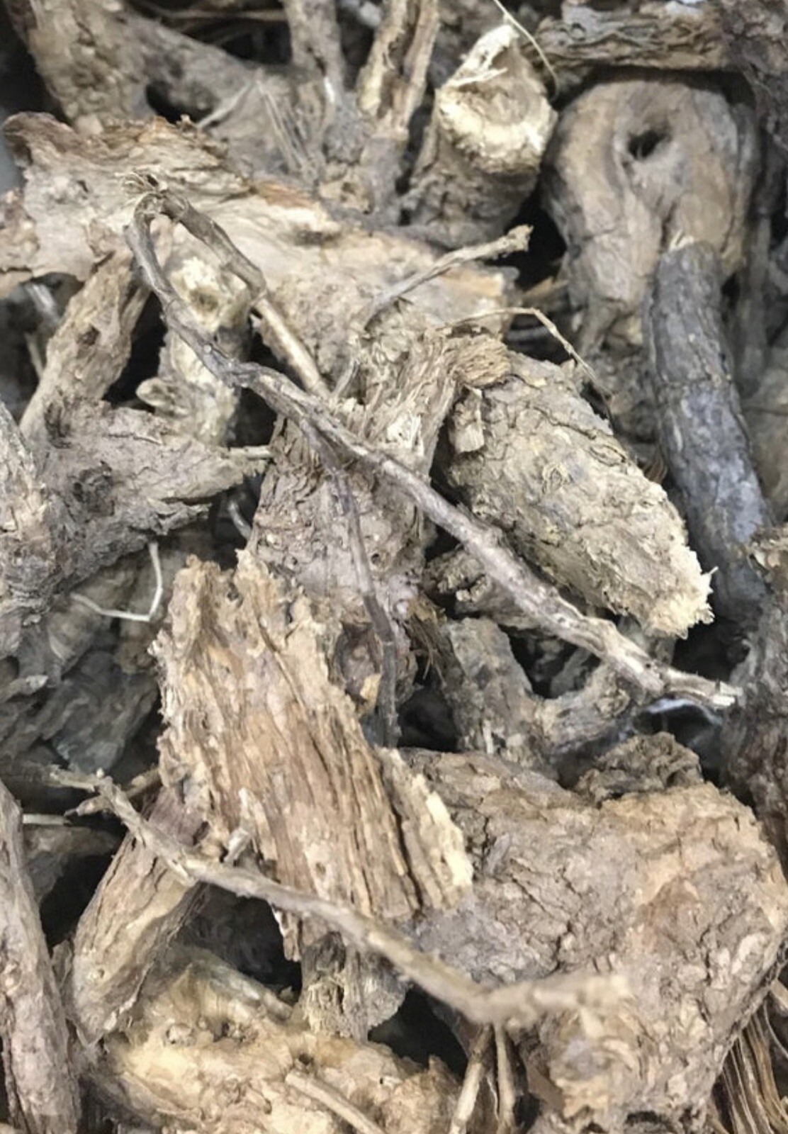 Raiz de Choya 8oz