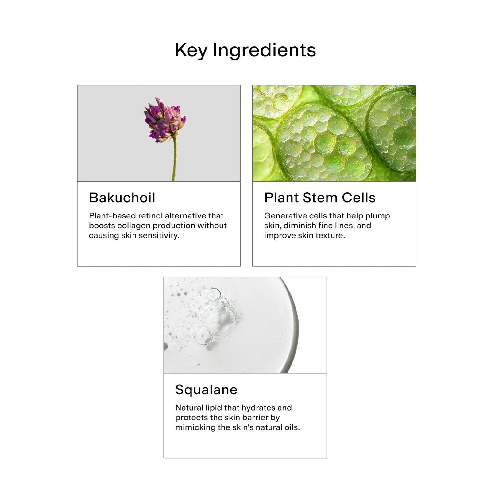 Hydraglow Stem Cell Moisturizer with Bakuchiol & Squalene – Youthful Skin Care,