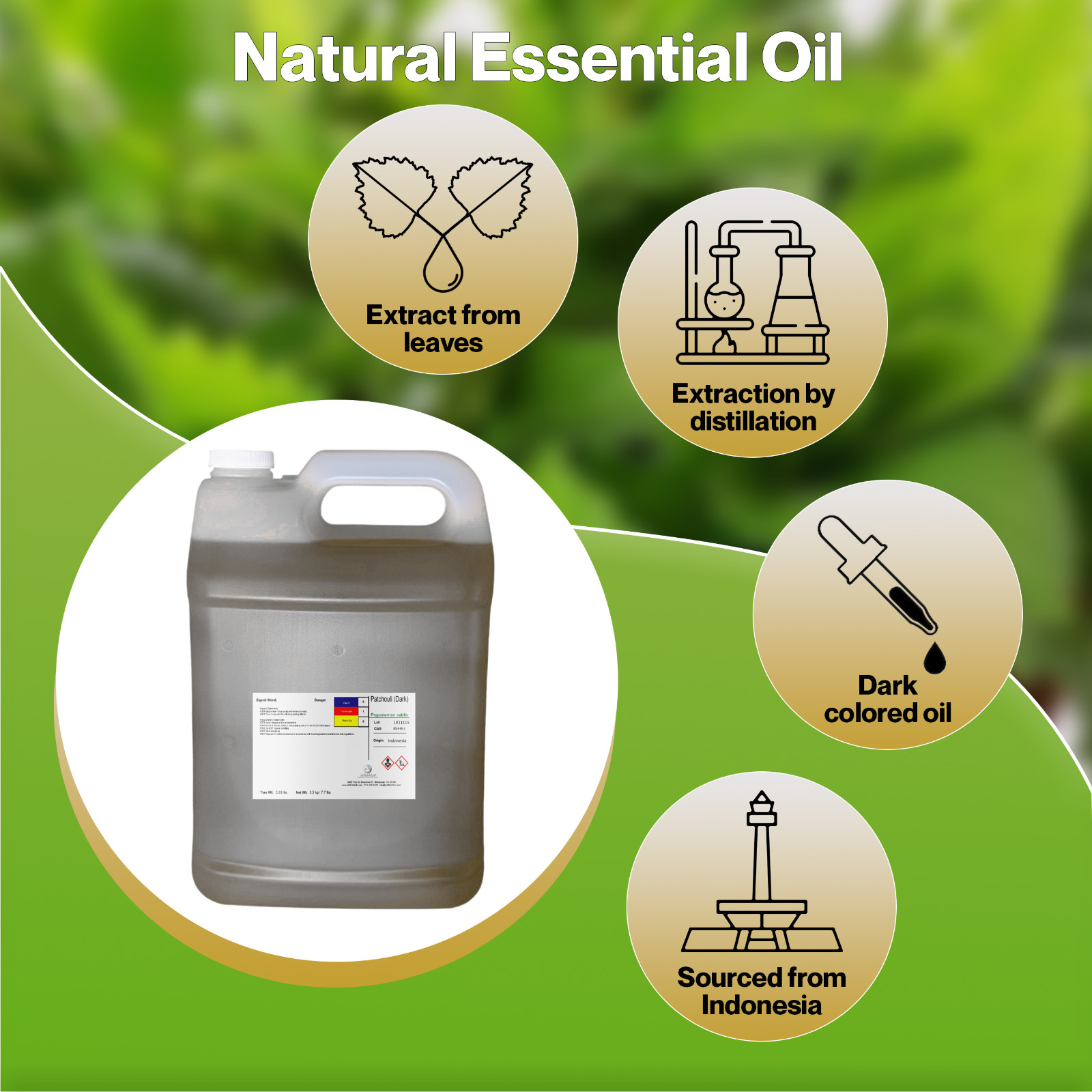 Patchouli (Dark)-Pogostemon cablin, Pure Natural & Undiluted, Indonesia