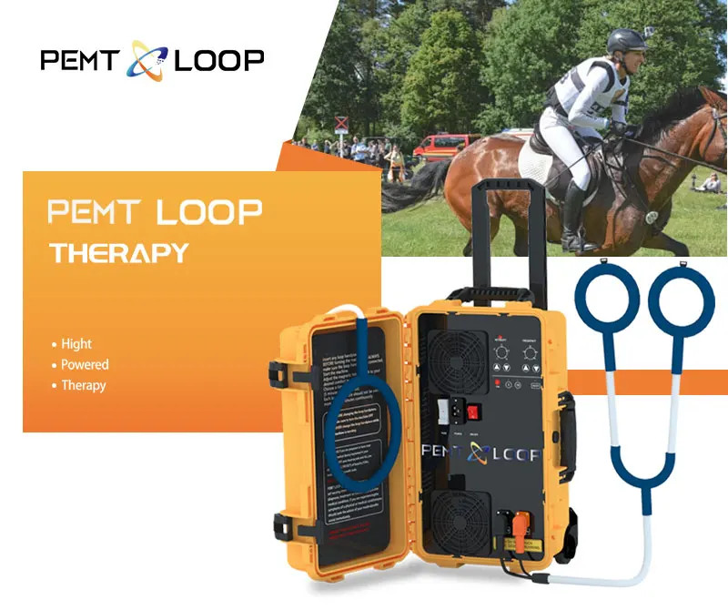 PMST Loop Magnetic Therapy PEMF EMTT Physio Magneto Horse Humans Massage Machine