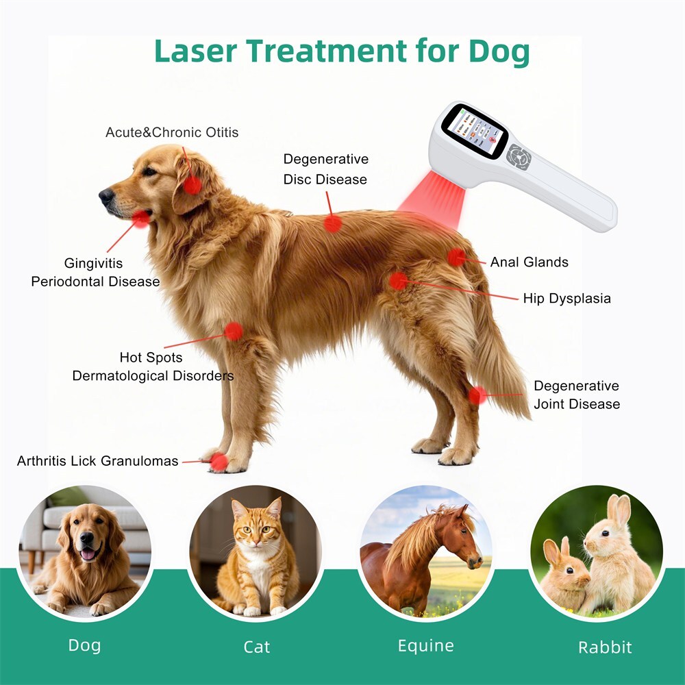 650nm 808nm 905nm 980nm Cold Laser Treatment for Muscle Joint Body Pain Relief