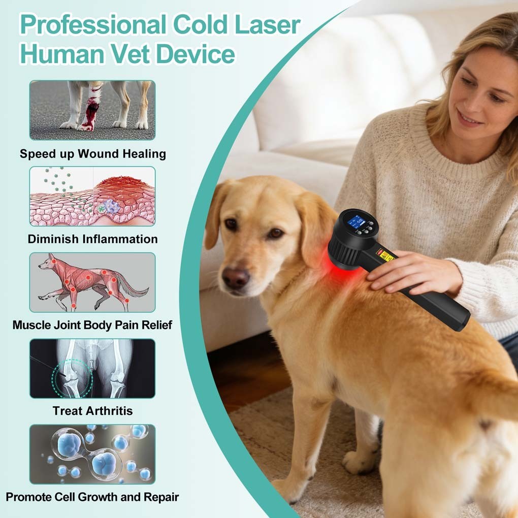 8W Class 4 Cold Laser Therapy Device 808nm 905nm LLLT Pain Relief for Arthritis