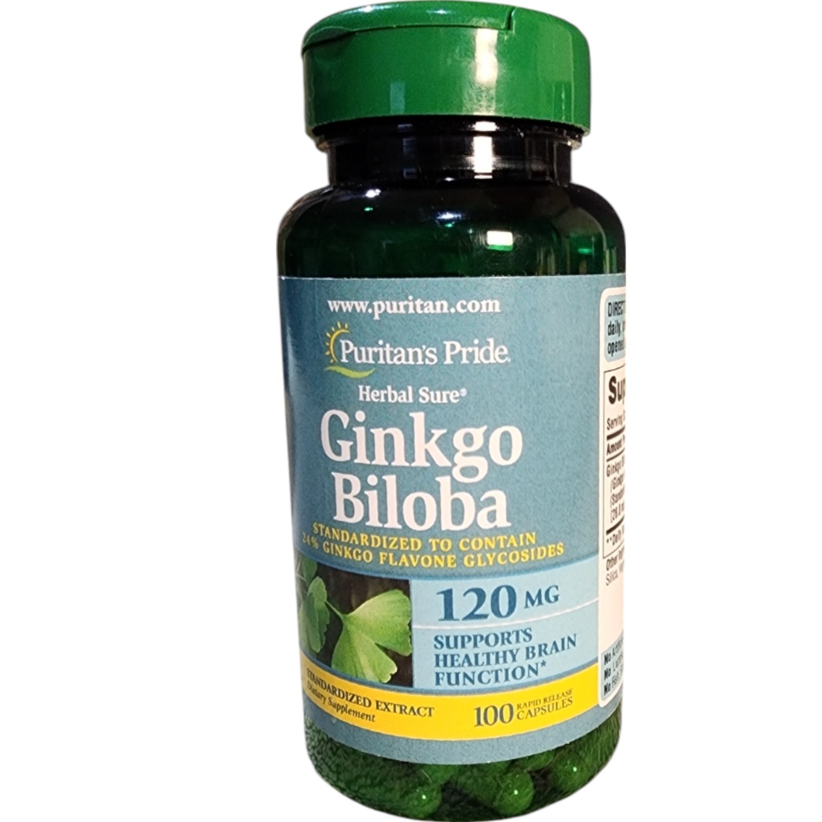 Ginkgo Biloba 120mg 100 Capsules Supports Brain Function Exp 02/2029 Sealed