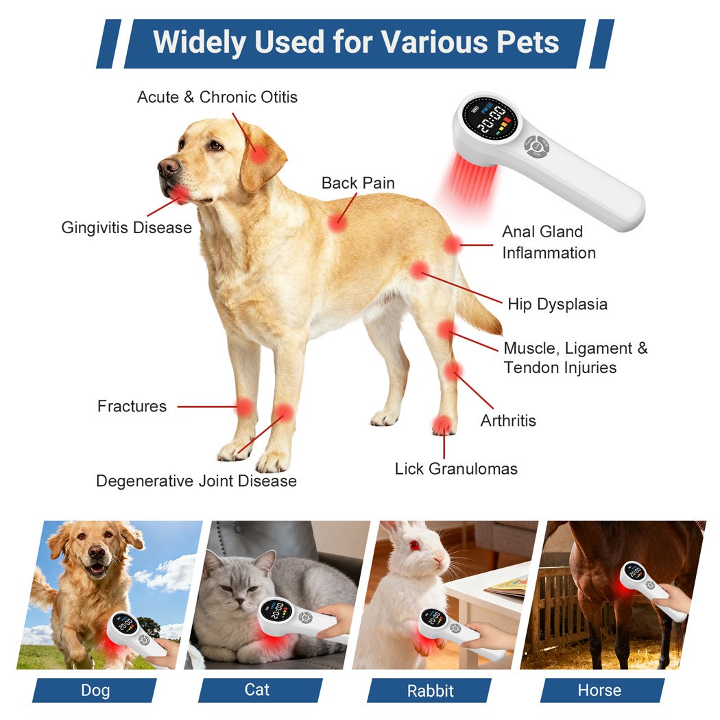 Low Level Laser Therapy for Human and Pet Pain Relief for Arthritis and Injuries