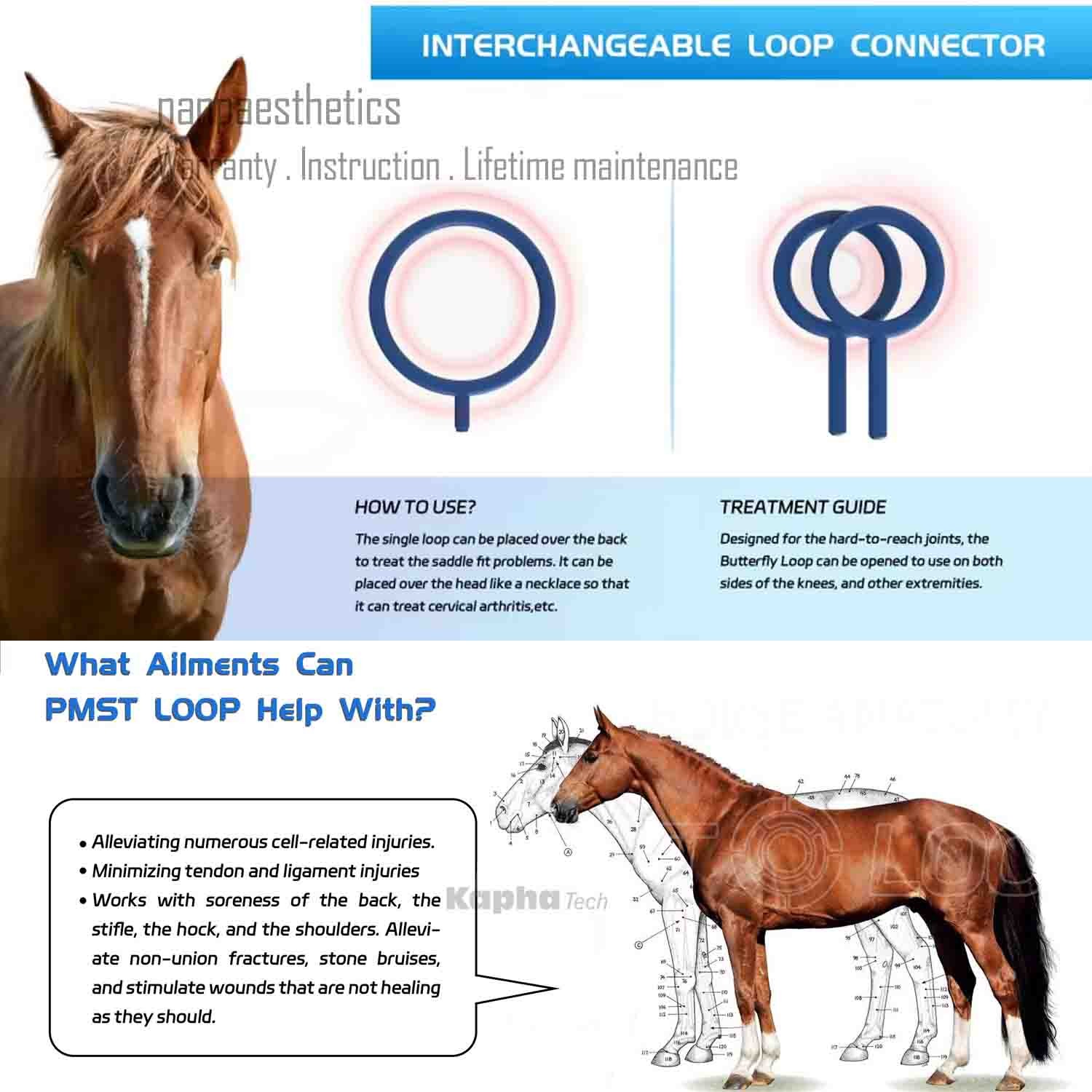 PEMF LOOP Magnetic Therapy+Mattress Pmst Physio Magneto Home Use Massage Machine