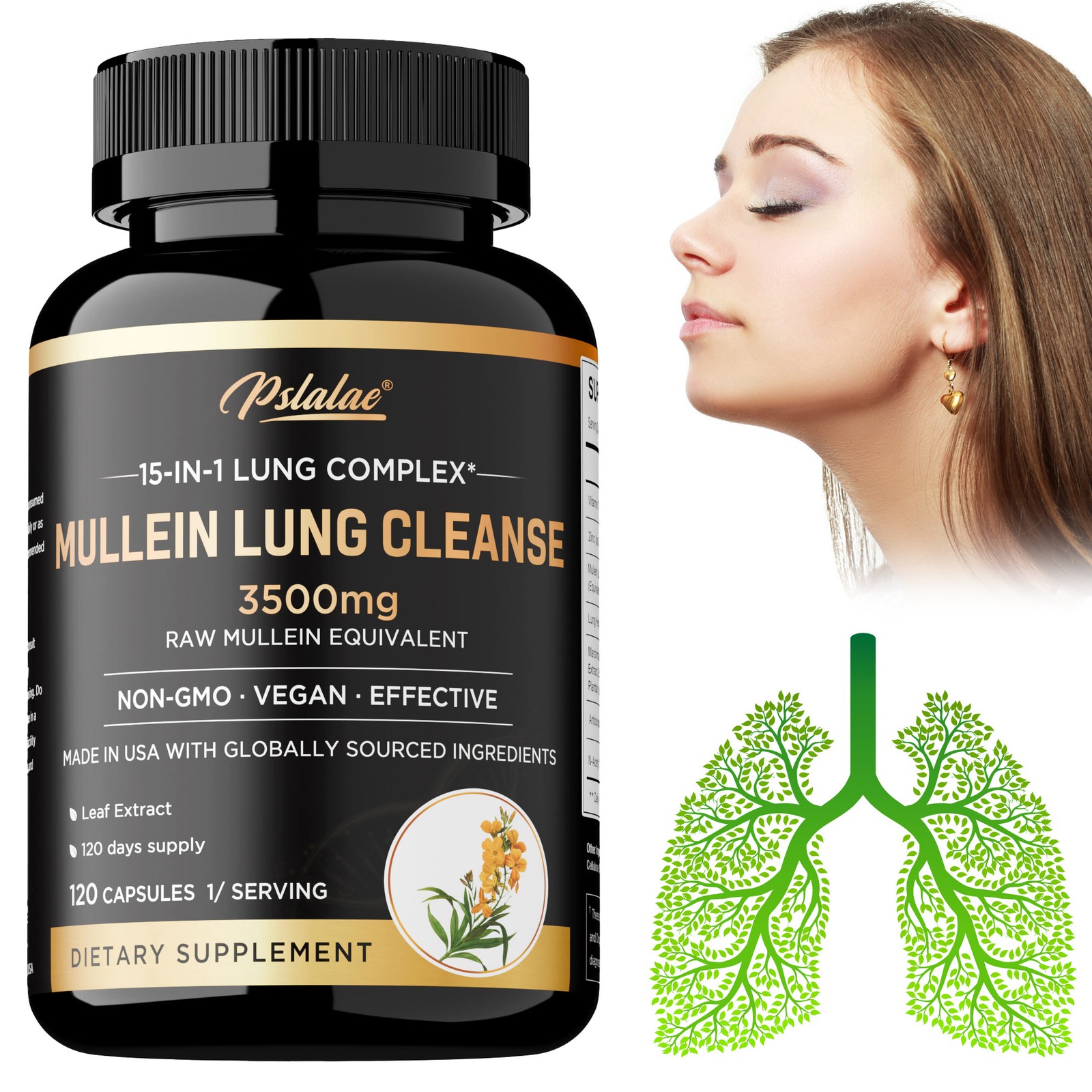 Mullein Lung Cleanse – Respiratory Health, Detox, Olive Leaf, Oregano Leaf