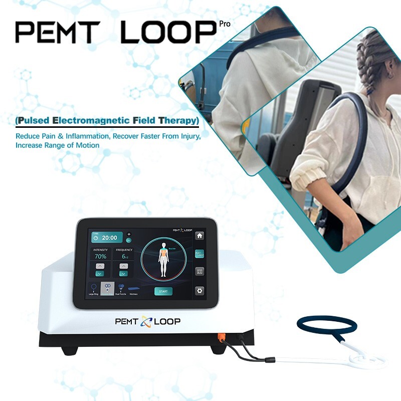 PMST Loop EMTT PEMF Machine Magnetic Physio Therapy Massage Pain Relief Animals