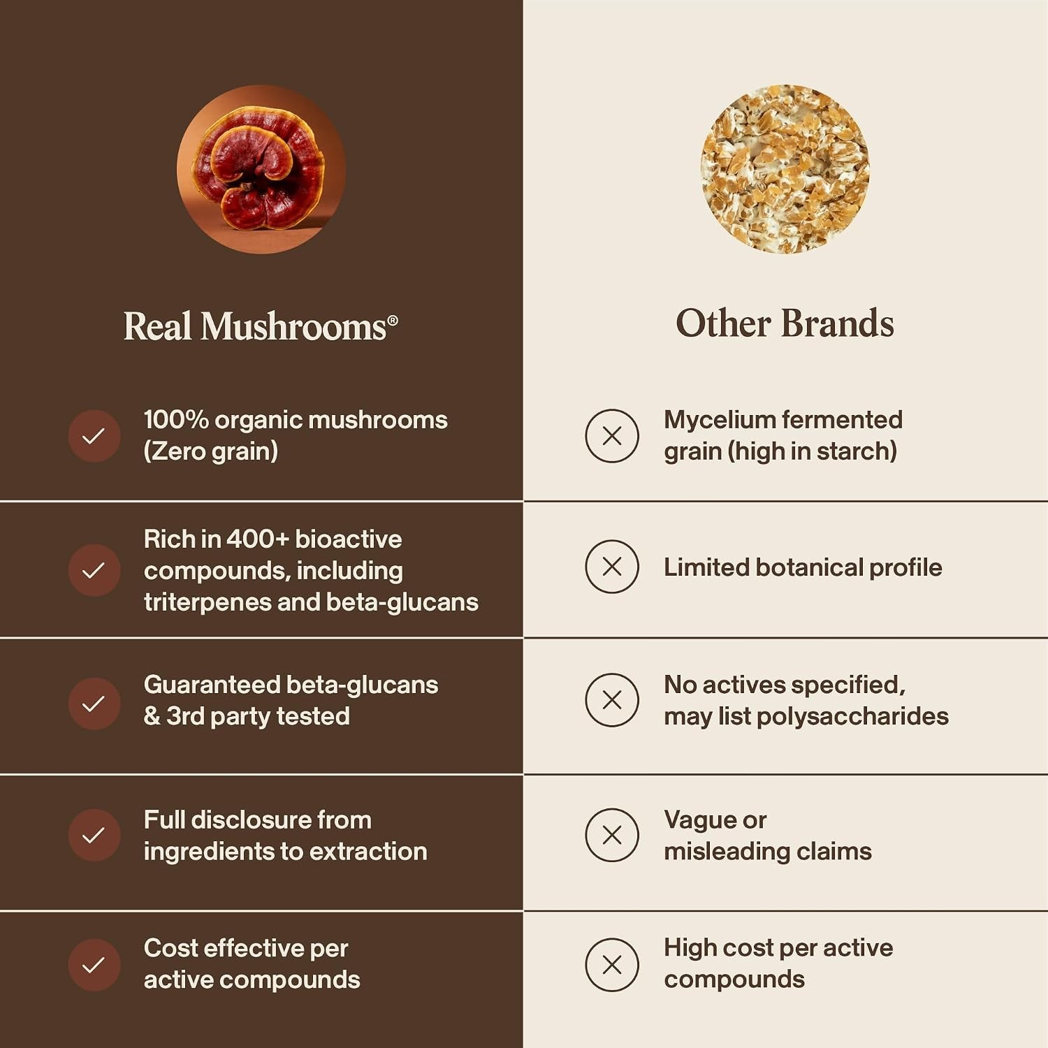 Organic Red Reishi Extract – Digestive Health Boost with Verified Beta Glucans