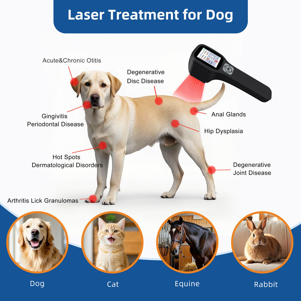 Touchscreen 2.5W Cold Laser Therapy Device For Pain Relief 650+808nm+905nm+980nm