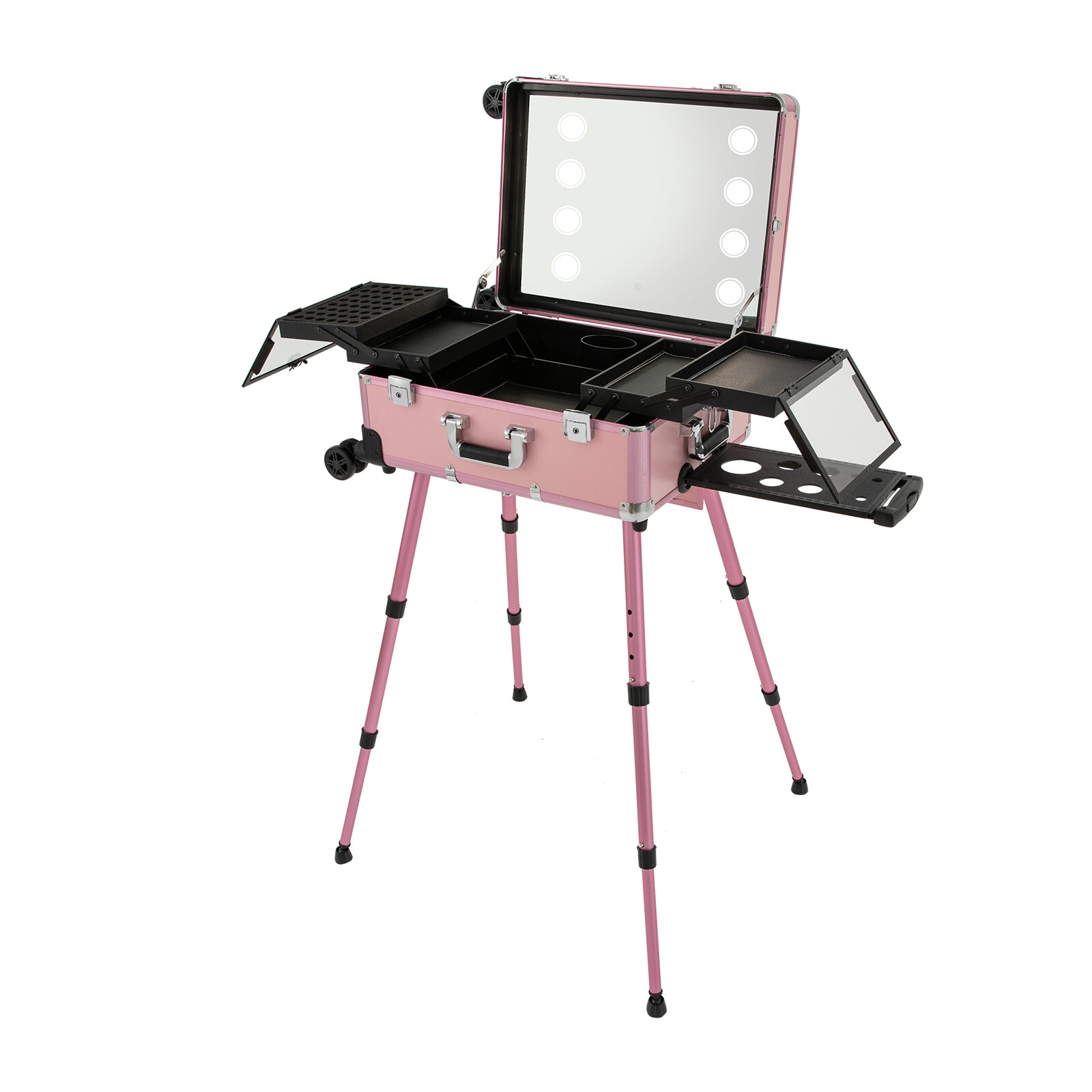 Professional Cosmetic Travel Case Vanity Organizer Rolling Makeup Train Case