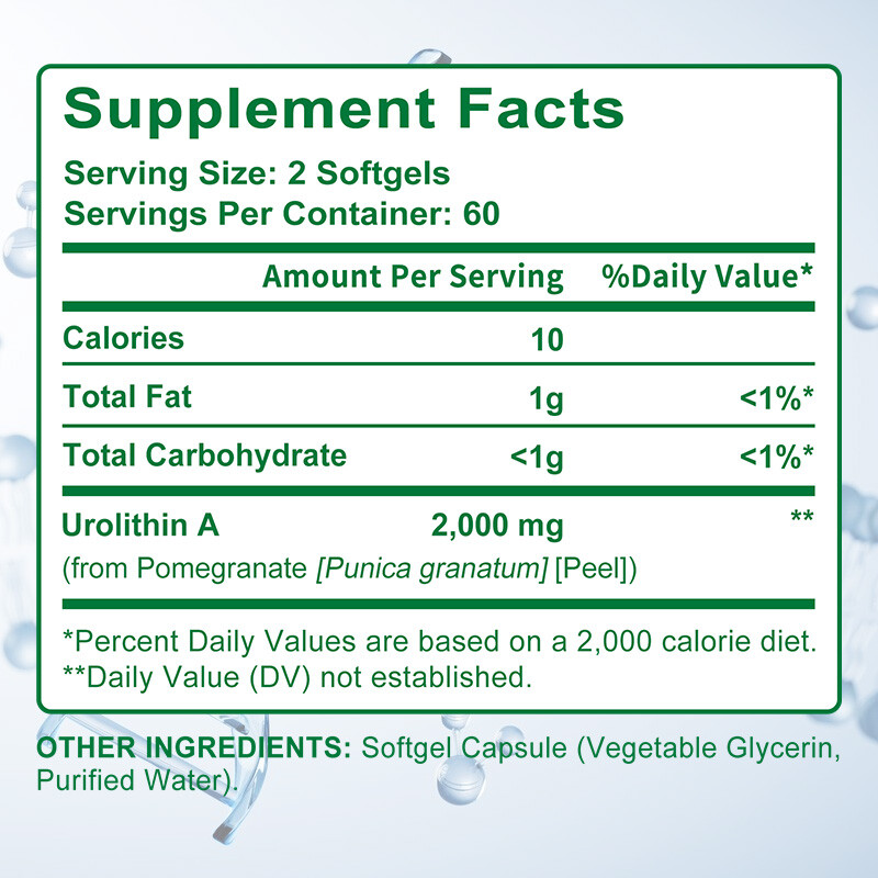 Urolithin A Supplements Improve Muscle Endurance Overall Health 120 Pills US