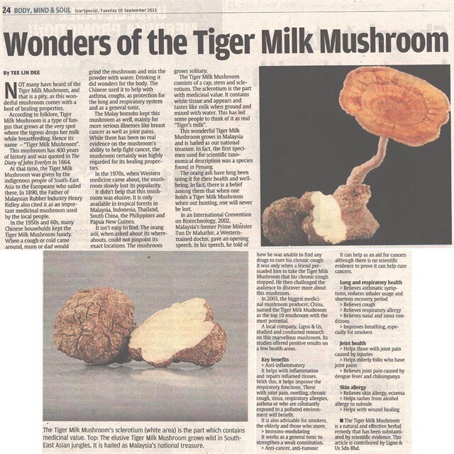 ORIGINAL TIGERUS Tiger Milk Mushroom Sclerotia 60’s NEW & HALAL