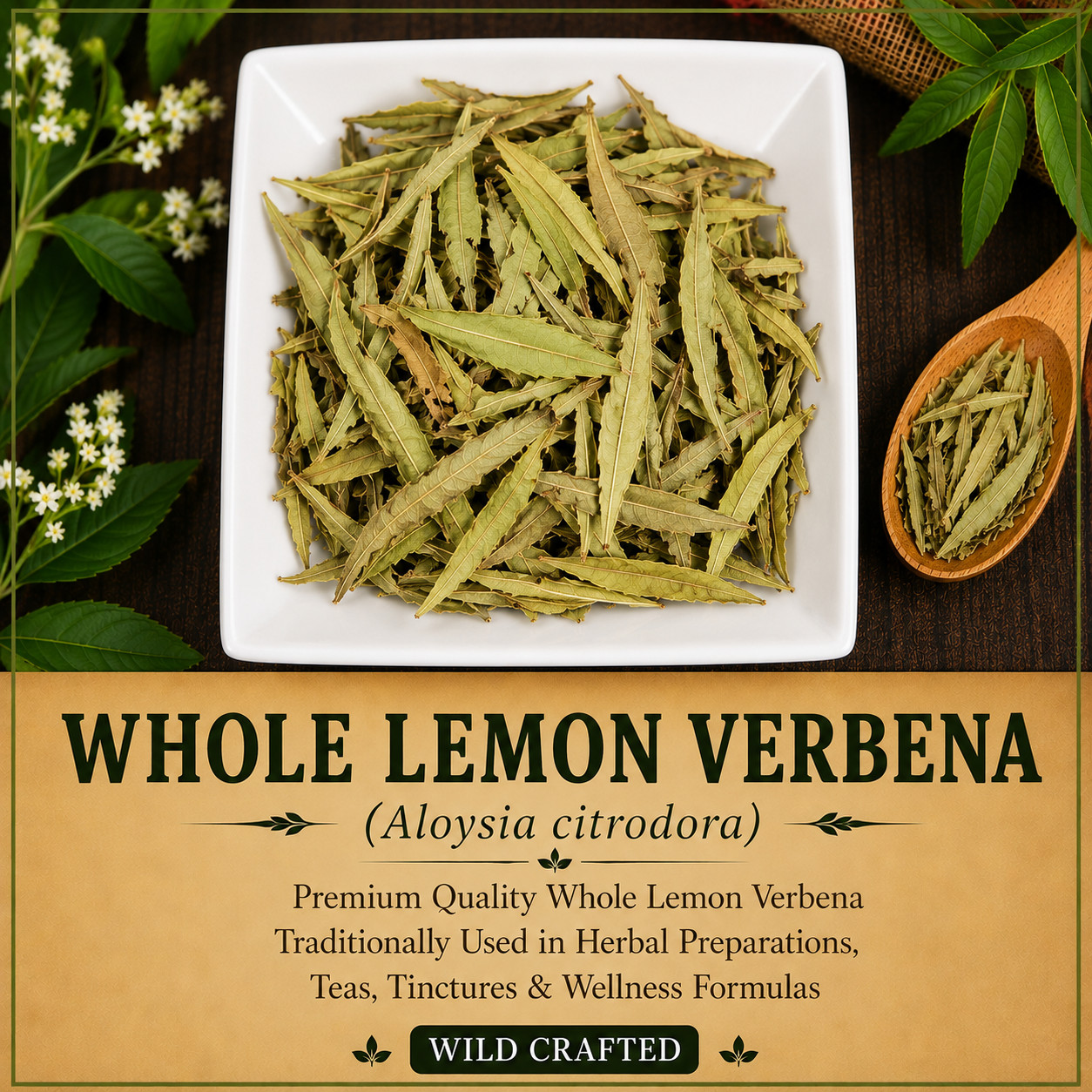 Whole Lemon Verbena Leaf Wild Crafted Aloysia citrodora Herbal Tea | USA | Fresh