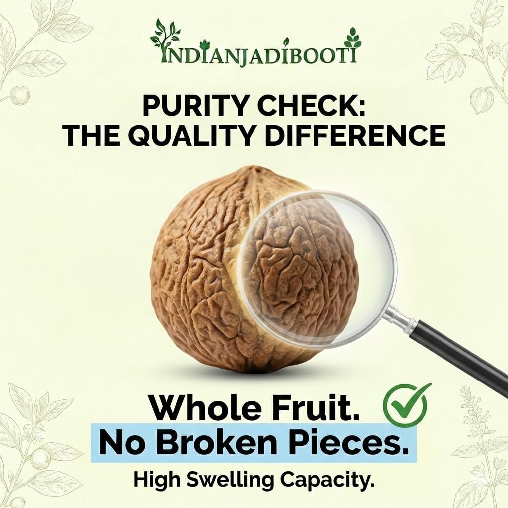 Niranjan Phal – Sterculia Lychnophora – Malva Nuts China Nut-Umasmangu – 100 GM