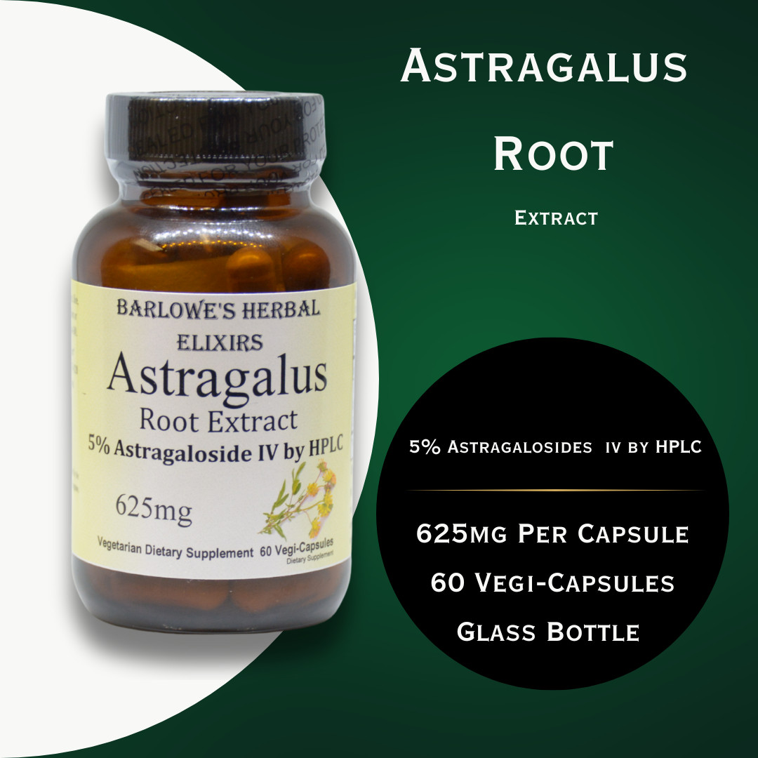 ASTRAGALUS EXTRACT – 5% Astragalosides by HPLC – Stearate Free, Glass Bottles!