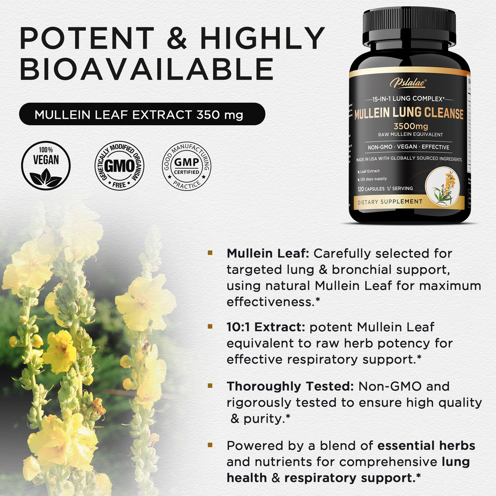 Mullein Lung Cleanse – Herbal Lung Detox & Cleanse for Respiratory Lung Health