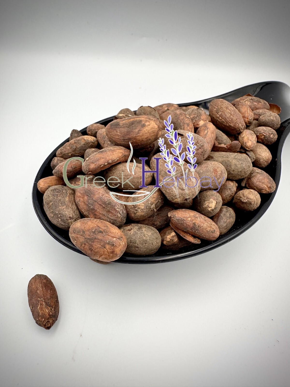 Raw Criollo Whole Cacao Beans 25g-4,9kg – Theobroma cacao