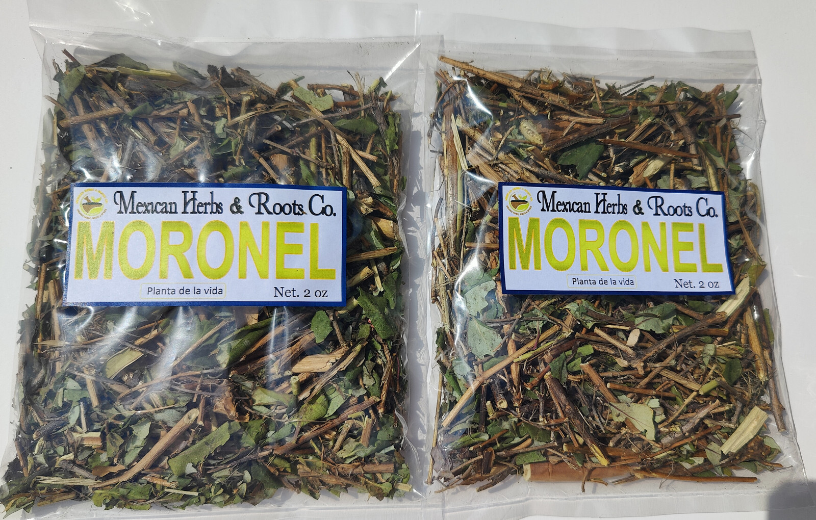 Moronel Planta de La Vida Te de moronel moronel organico hierba mexicana