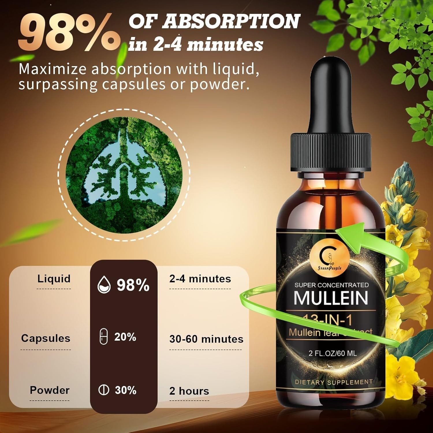 2Pack Mullein Drops for Lungs Mullein Leaf Extract with Chlorophyll for Lung