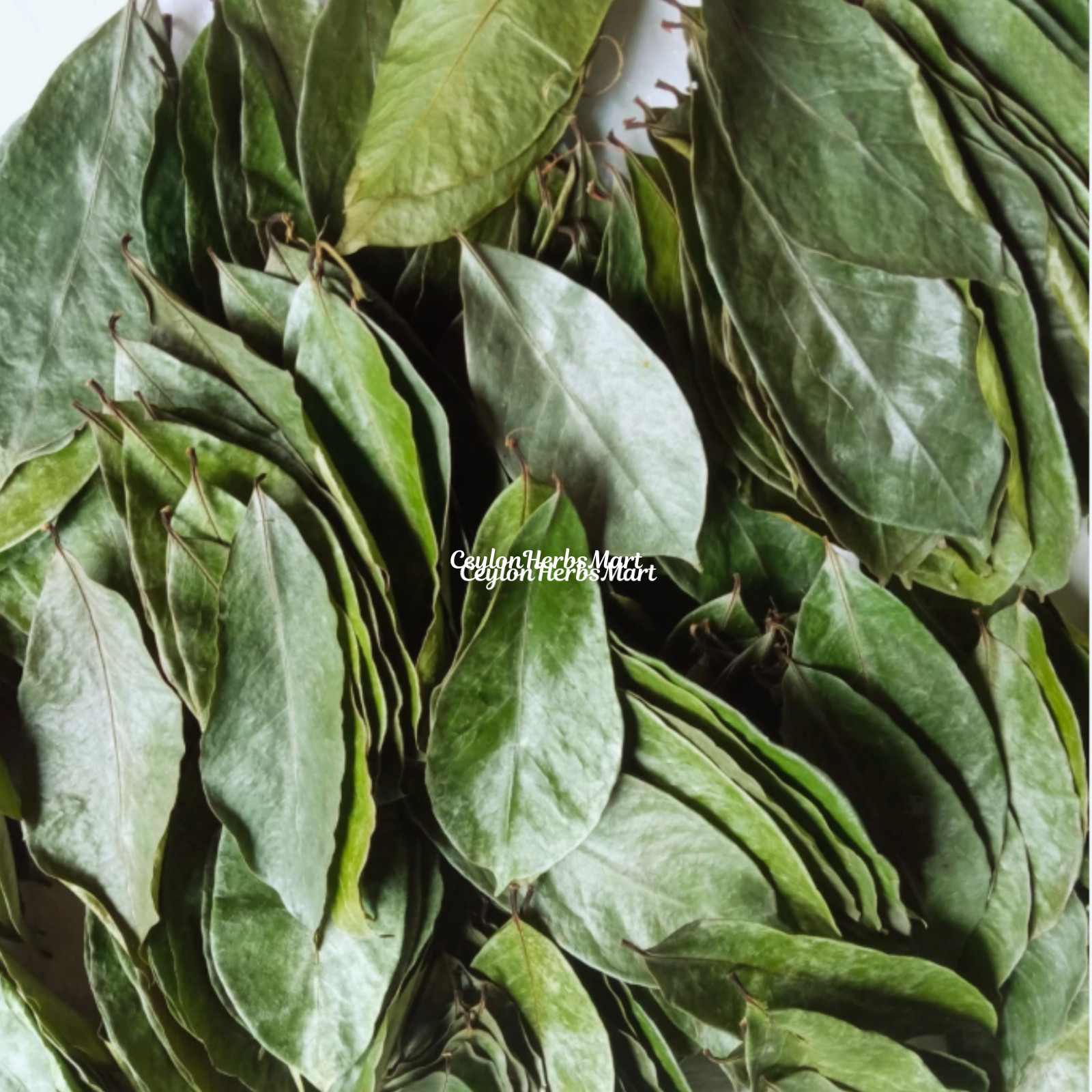 100% Organic Dried Soursop Graviola Leaves Herbal Tea Hojas De Guanabana Leaf