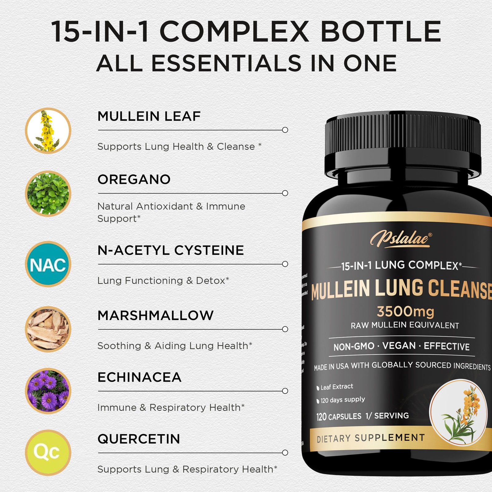Mullein Lung Cleanse – Respiratory Health, Detox, Olive Leaf, Oregano Leaf