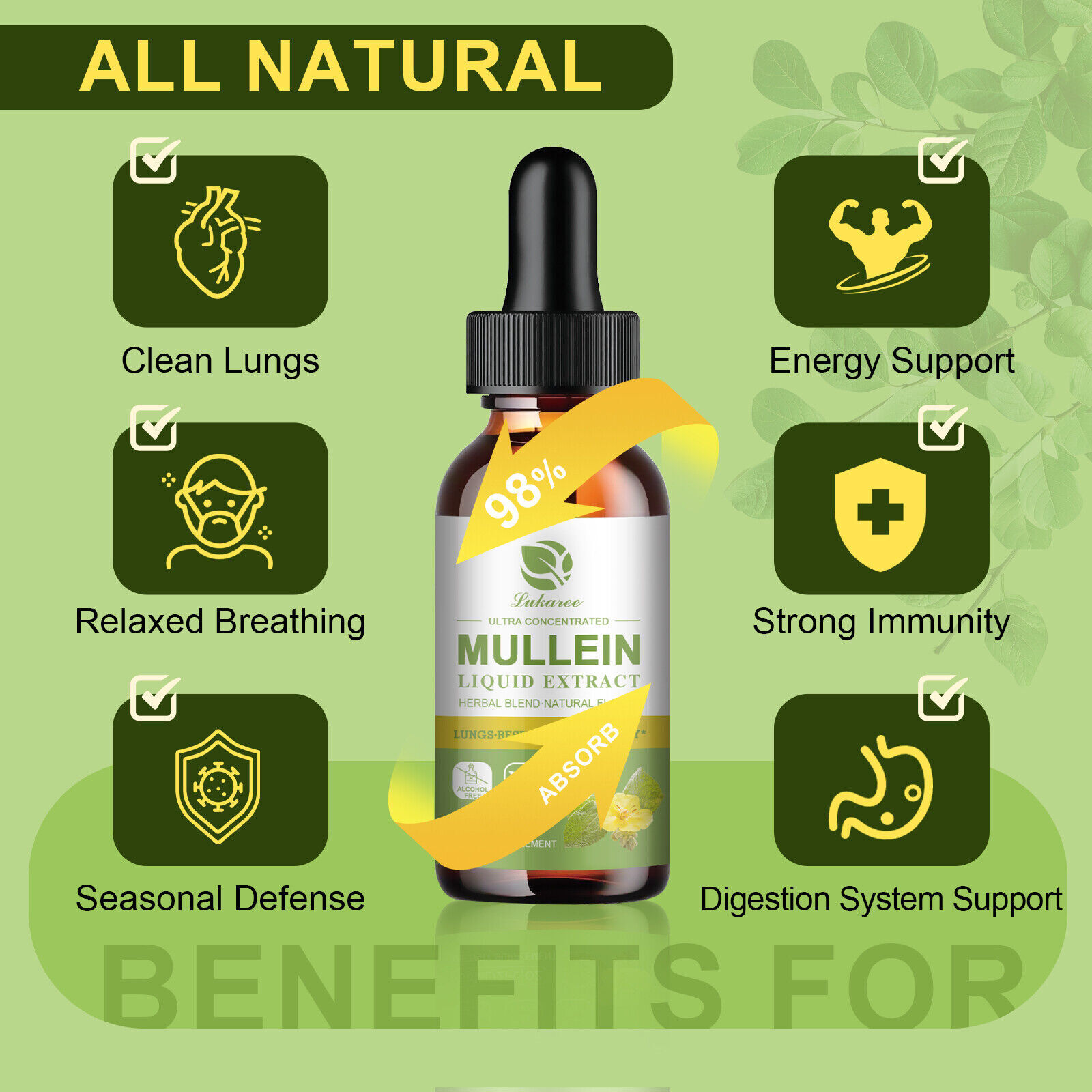 Natural Mullein Drops Mullein Leaf Tea For Lung Cleanse Respiratory Health