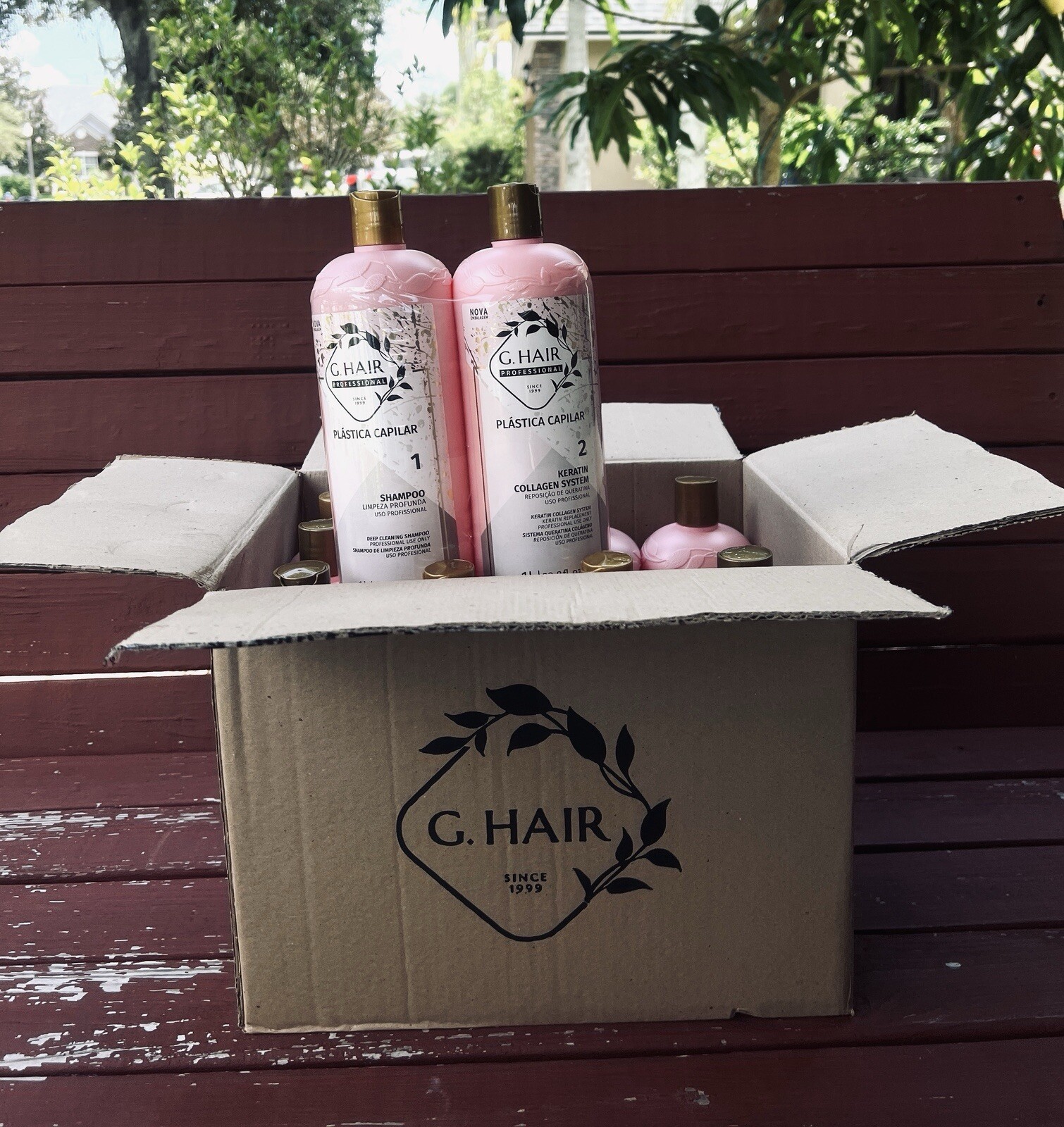 G.HAIR Plastica Capilar Keratin Collagen Anti-Frizz  ( Box of 6 sets)