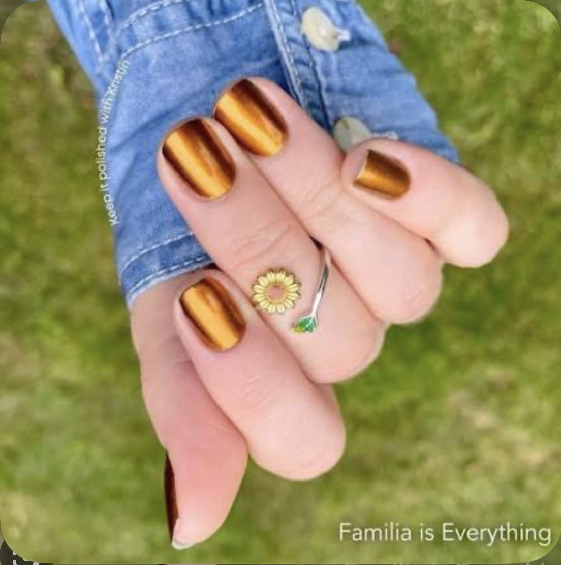 Color Street Nail Polish Strips~Familia Is Everything~Shimmery Bronze