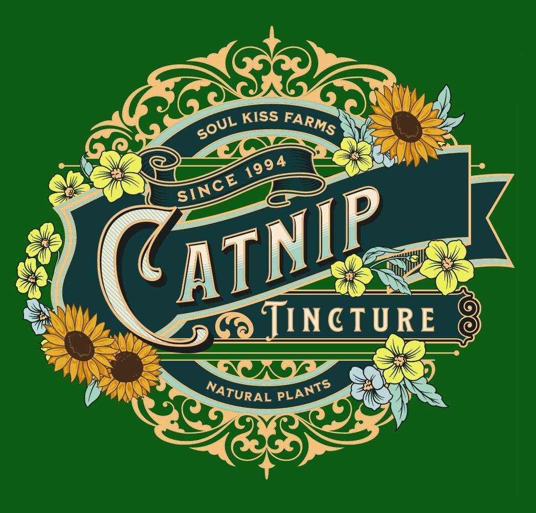 Catnip Extract Catnip Tincture Calms Anxiety Nerves Relieves Insomnia Pure USA