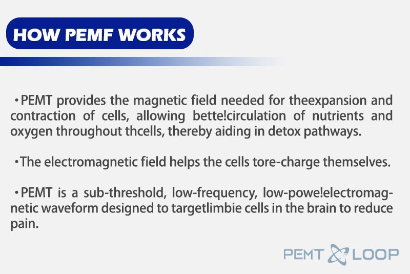 PEMF LOOP Magnetic Therapy+Mattress Pmst Physio Magneto Home Use Massage Machine