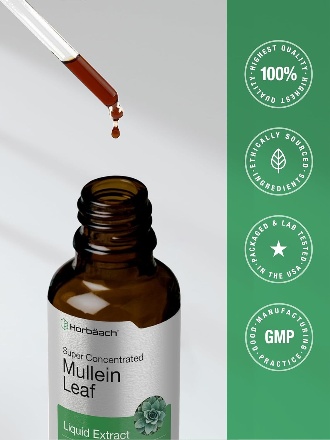 Mullein Leaf Extract Drops Alcohol Free 2 fl oz