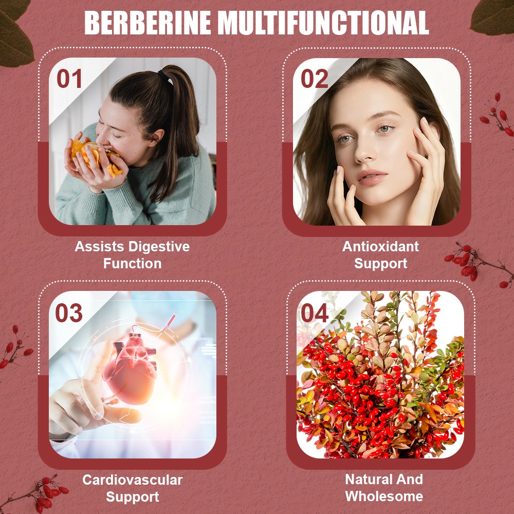 2 Bottle Berberine HCL 120 Capsules High Potency Dietary Supplement