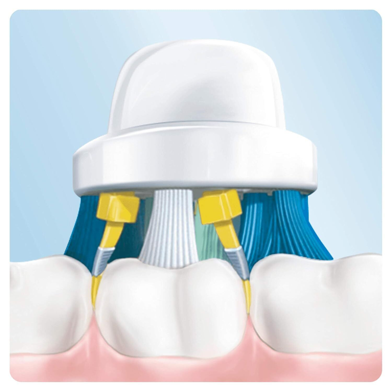 Oral B Floss Action Replacement Toothbrushes Heads 4 Count – FREE SHIPPING !!!